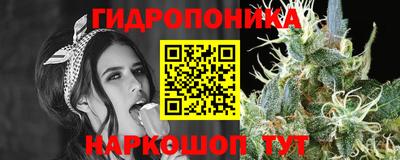 марки nbome Сланцы