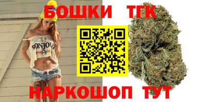 дмт Славгород