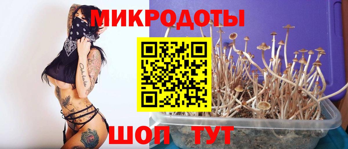 Псилоцибиновые грибы MAGIC MUSHROOMS Нефтекамск