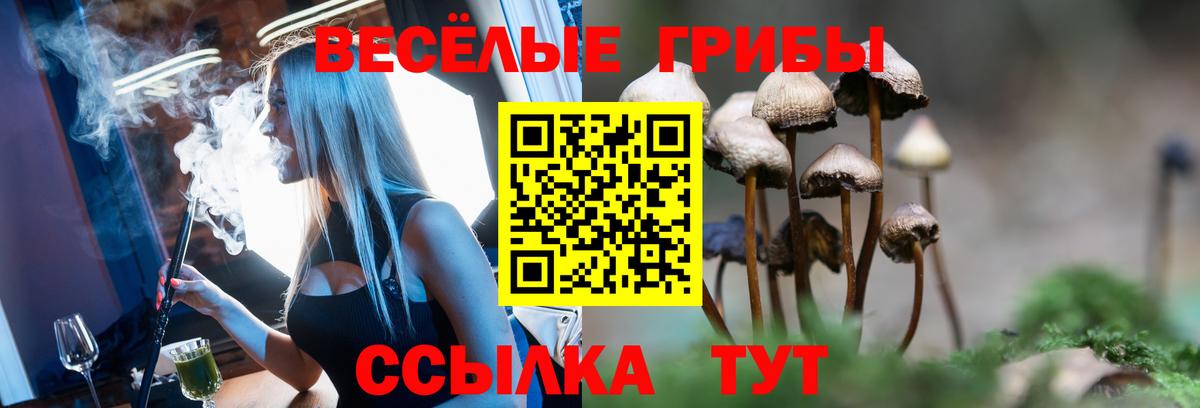 Нефтекамск  Галлюциногенные грибы Psilocybine cubensis  Вход с VPN  что такое наркотик  Галлюциногенные грибы Magic Shrooms 